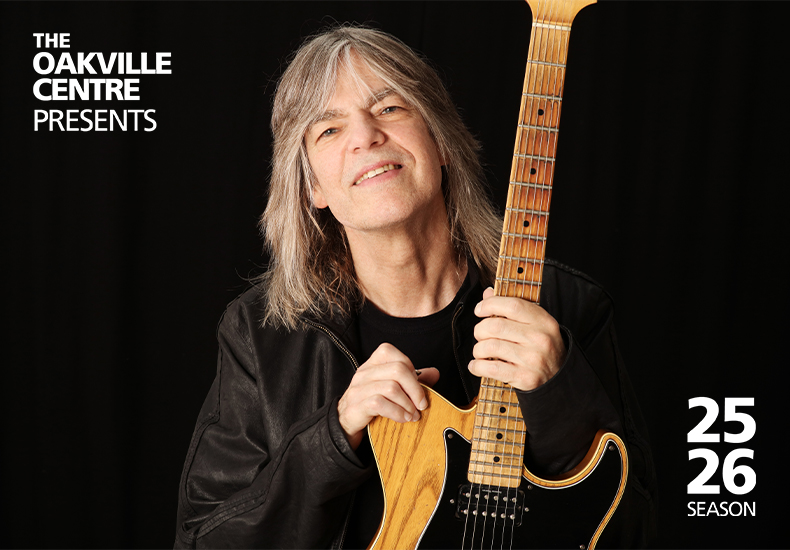 Mike Stern Image